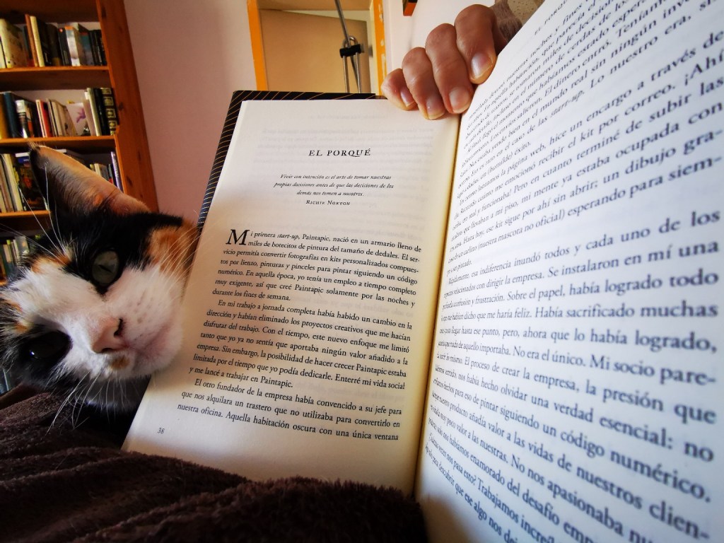 Gata tumbada junto a una persona que sostiene un libro abierto